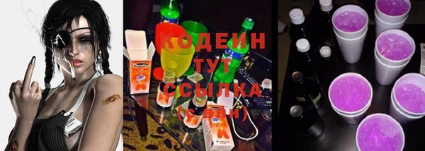СК Зерноград