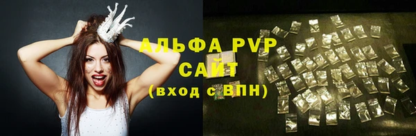 СК Зерноград
