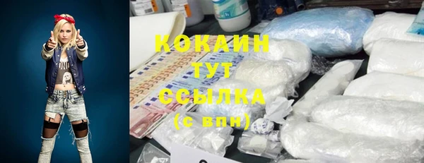 молекула духа Зеленокумск