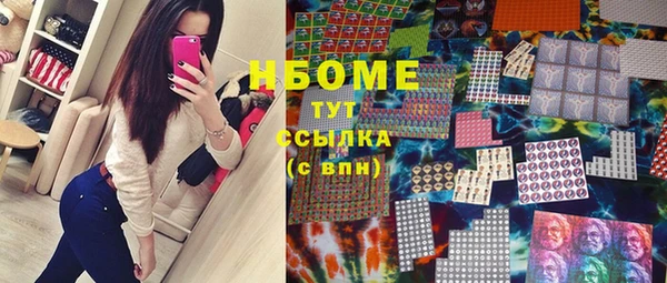 СК Зерноград