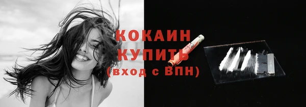 молекула духа Зеленокумск