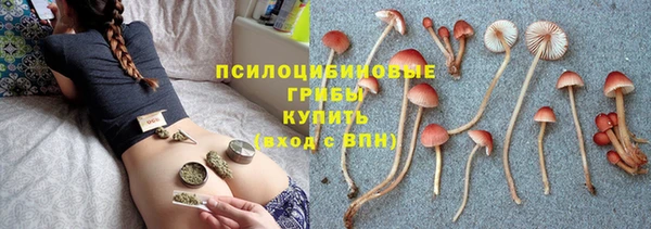 СК Зерноград