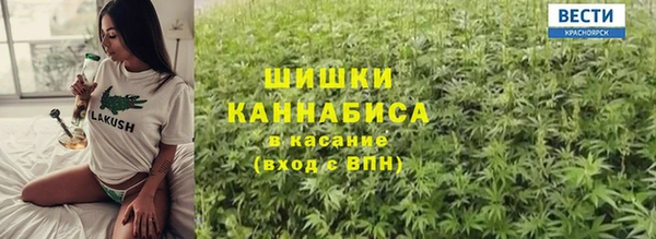 молекула духа Зеленокумск