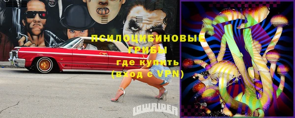 молекула духа Зеленокумск