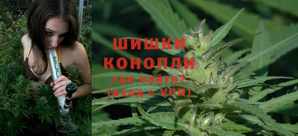 СК Зерноград