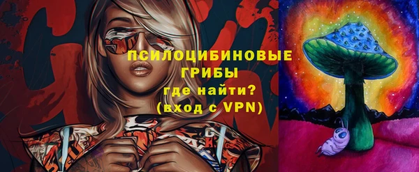 молекула духа Зеленокумск