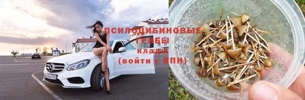 молекула духа Зеленокумск
