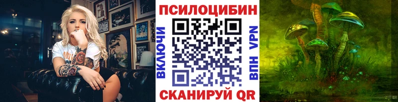 Купить закладки  Орлов  Галлюциногенные грибы Cubensis 